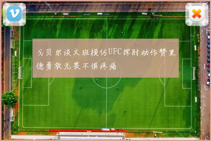 戈贝尔谈文班模仿UFC挥肘动作赞里德勇敢无畏不惧疼痛