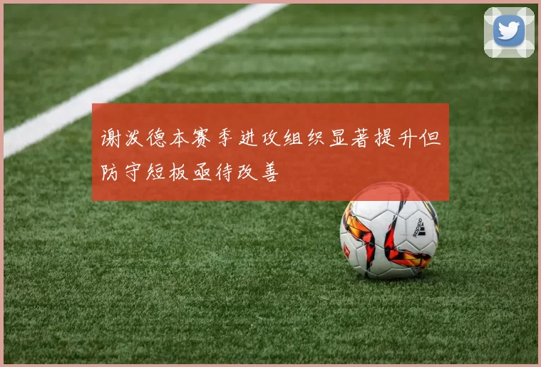 谢泼德本赛季进攻组织显著提升但防守短板亟待改善
